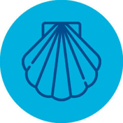 Icono-SeaShell-300x300-2.jpg